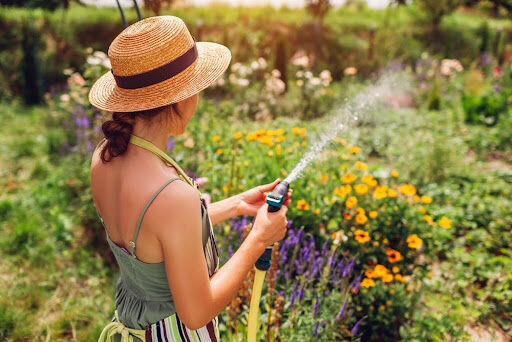Back view of woman gardener in straw hat watering plants with hose pipe in summer garden setting water pressure. Taking care of flowers.